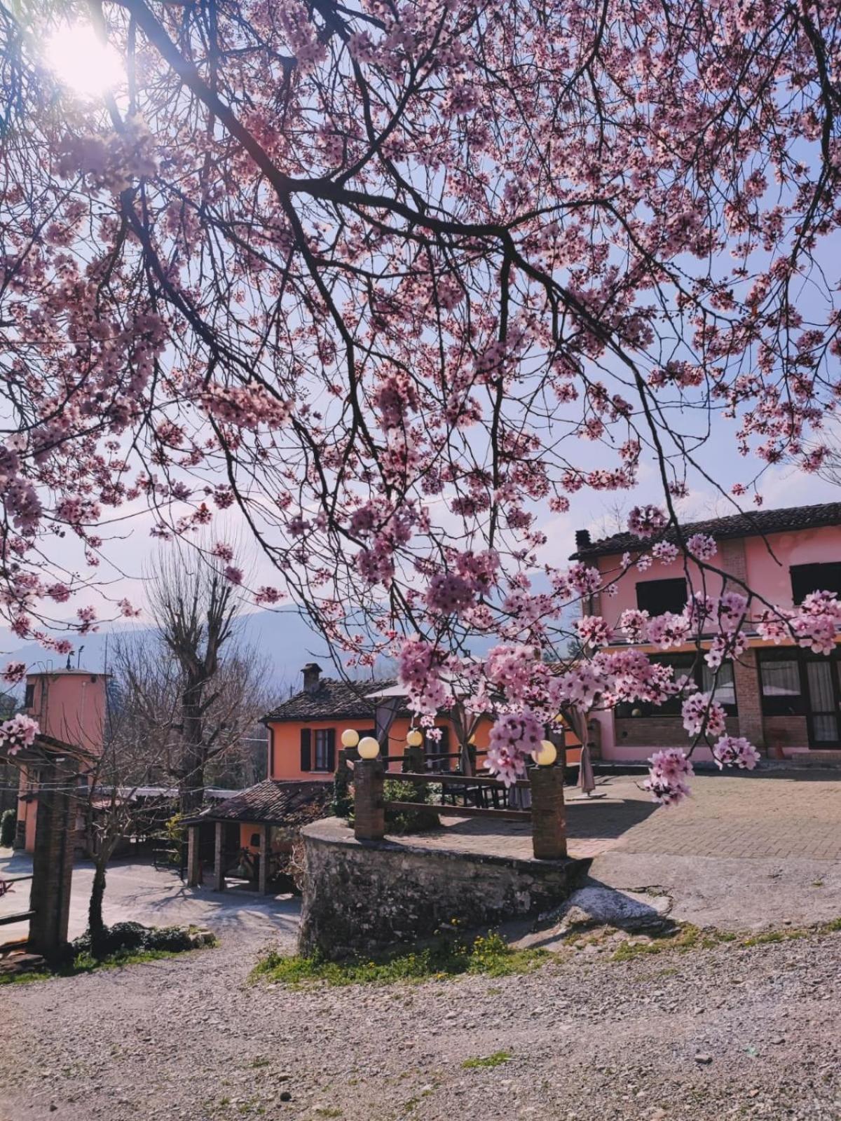 Agriturismo Villa Enrichetta Bettola  ภายนอก รูปภาพ
